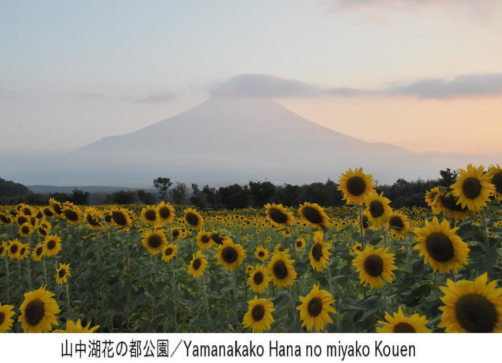 Pension Country Diary Yamanakako Extérieur photo